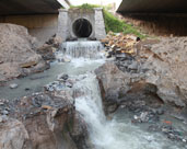 讓廢水變“活水”！鎮海再生水“養”出生態濕地公園