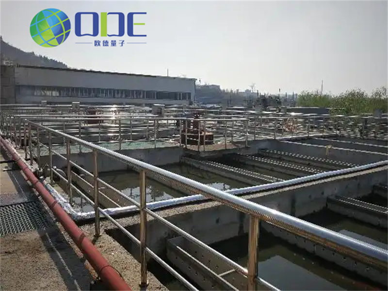 水產養殖廢水凈化：生態凈化池與人工濕地協同處理技術體系構建